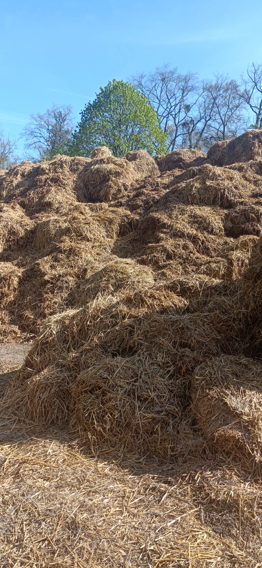 Conseil municipal du 2 avril : huis clos politique et malaise autour du fumier