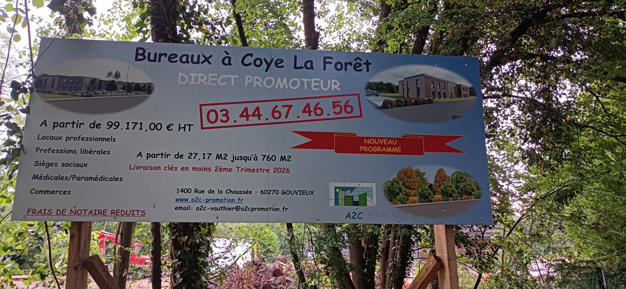 Coye-la-Forêt : Un bois entier disparu… et des solutions pour éviter que ça recommence