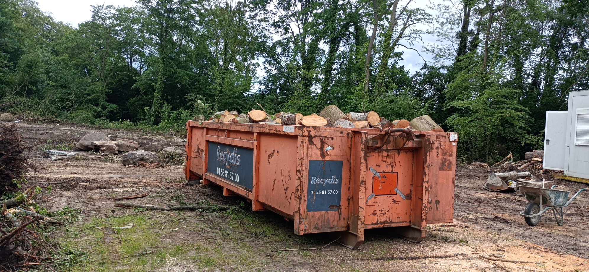 Coye-la-Forêt : Un bois entier disparu… et des solutions pour éviter que ça recommence