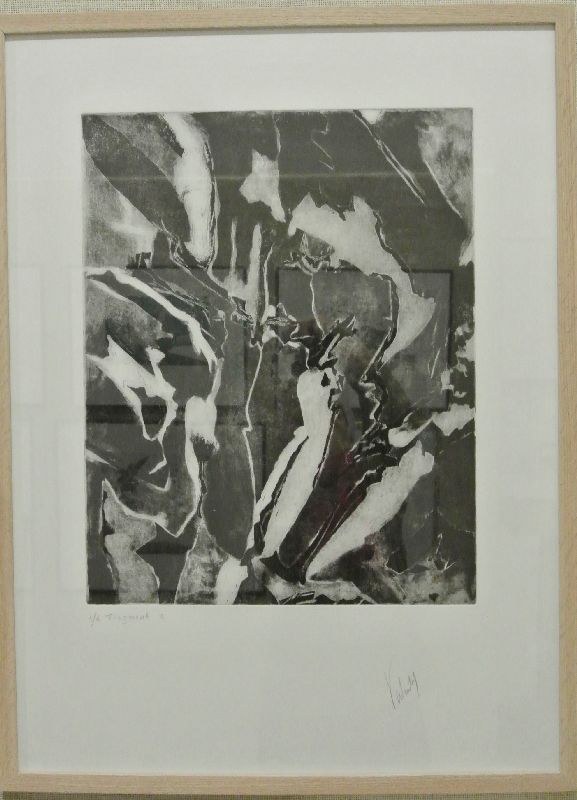 51e Salon des Beaux-Arts