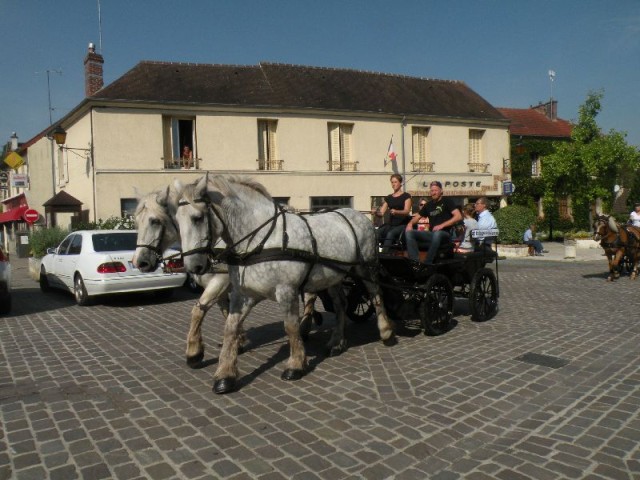 Équi-Oise 2015 à Coye-la-forêt