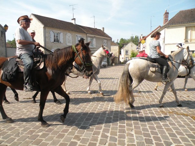 Équi-Oise 2015 à Coye-la-forêt