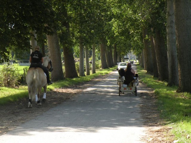 Équi-Oise 2015 à Coye-la-forêt