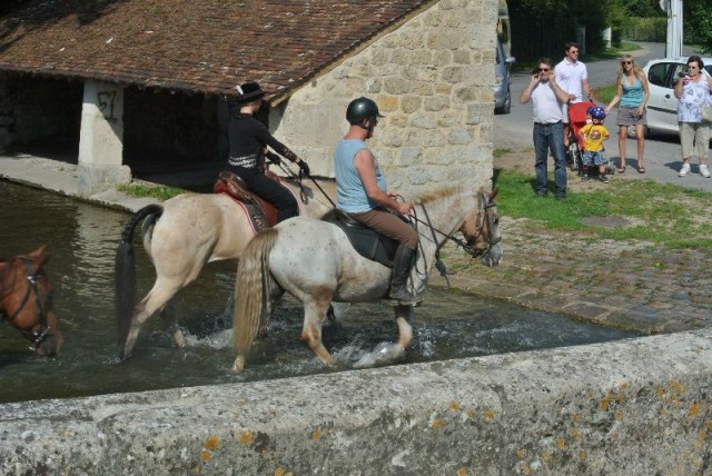 Équi-Oise 2015 à Coye-la-forêt