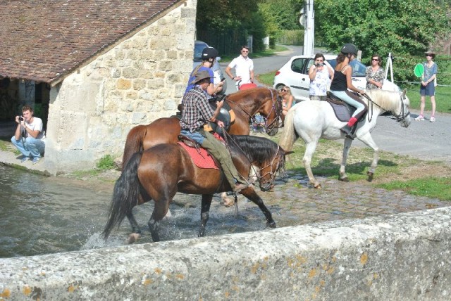 Équi-Oise 2015 à Coye-la-forêt