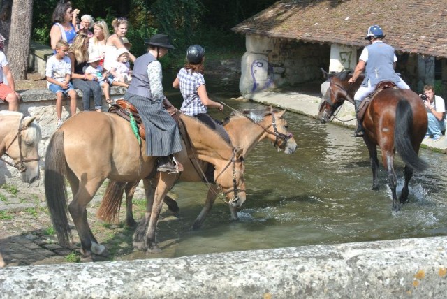 Équi-Oise 2015 à Coye-la-forêt