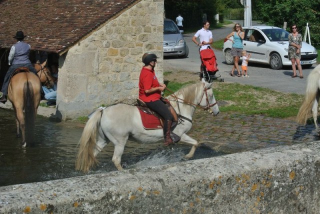 Équi-Oise 2015 à Coye-la-forêt
