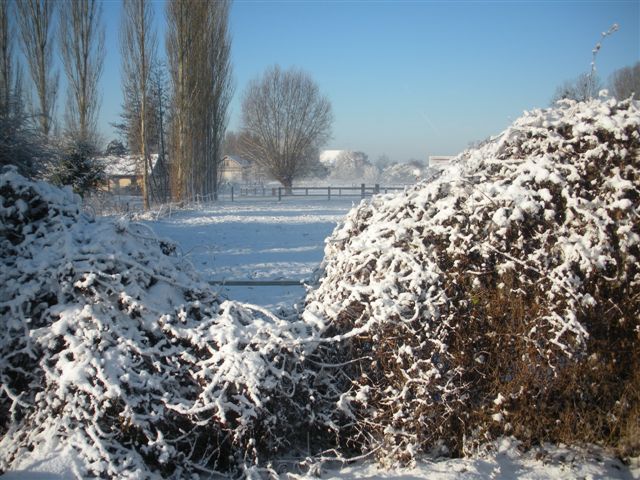 Neige et soleil