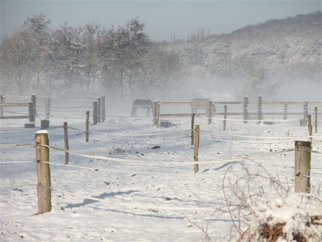 Neige et soleil