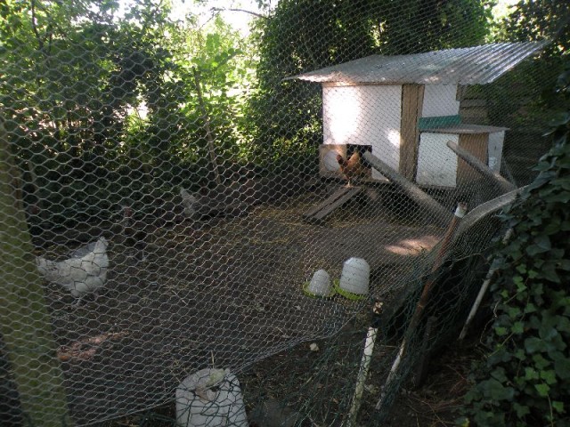 Visite des jardins familiaux
