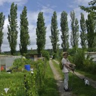 Visite des jardins familiaux