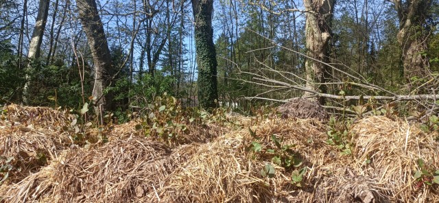 Conseil municipal du 2 avril : huis clos politique et malaise autour du fumier