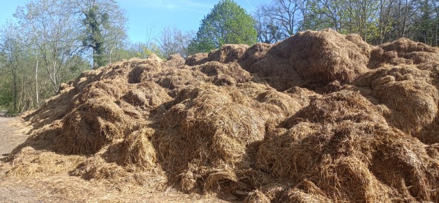 Conseil municipal du 2 avril : huis clos politique et malaise autour du fumier