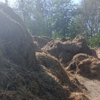 Conseil municipal du 2 avril : huis clos politique et malaise autour du fumier