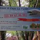 Coye-la-Forêt : Un bois entier disparu… et des solutions pour éviter que ça recommence