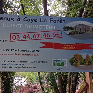 Coye-la-Forêt : Un bois entier disparu… et des solutions pour éviter que ça recommence