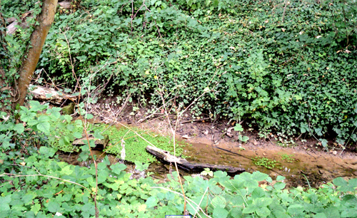 De la source à l’égout