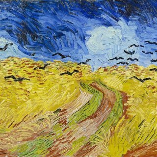 Du chaos chez les corbeaux