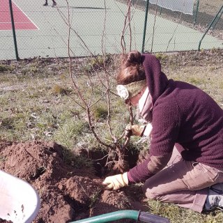ENTRETIEN AVEC NOOR STOKWIELDER