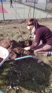 ENTRETIEN AVEC NOOR STOKWIELDER