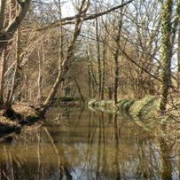 Entretien de la Thève et création d’un chemin d’accès sur la rive gauche du cours d’eau