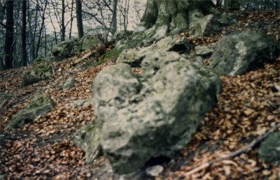 La pierre tournante de Coye