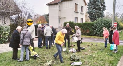 La Sylve : Échange de plantes