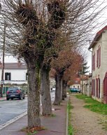 Comment bien gérer les eaux de pluie à Coye ?