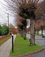 Comment bien gérer les eaux de pluie à Coye ?
