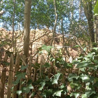 Pour faire cesser le dépôt de fumier route de Lamorlaye : lettre ouverte au maire