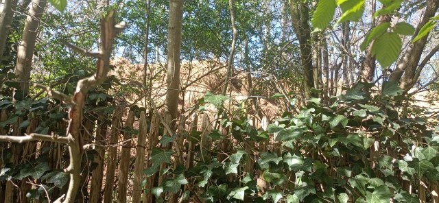 Pour faire cesser le dépôt de fumier route de Lamorlaye : lettre ouverte au maire