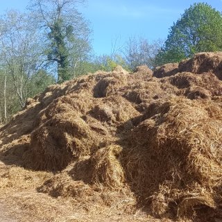 Pour faire cesser le dépôt de fumier route de Lamorlaye : lettre ouverte au maire