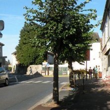 Quelles sont mes orientations pour le devenir de Coye ?