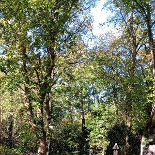 Trois châteaux : Réflexions et travaux pour l’avenir de Coye la forêt