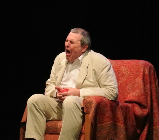 LA VOYANTE De Jacques Bona - Présentation du Festival