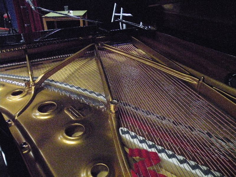 Le Cirque des Mirages De Yanowskiet Fred Parker