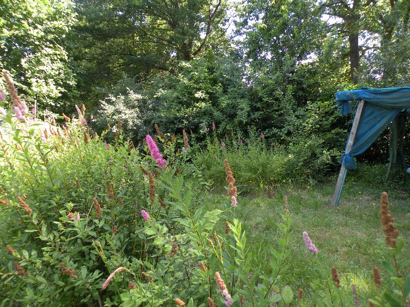Visite des jardins familiaux