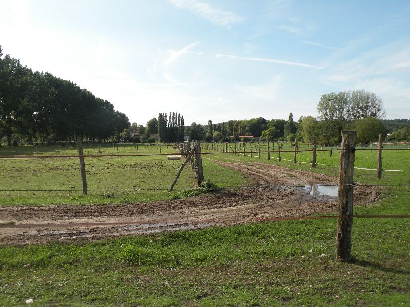 Équi-Oise 2015 à Coye-la-forêt