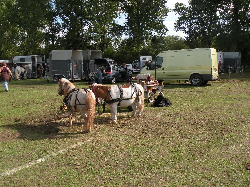 Équi-Oise 2015 à Coye-la-forêt