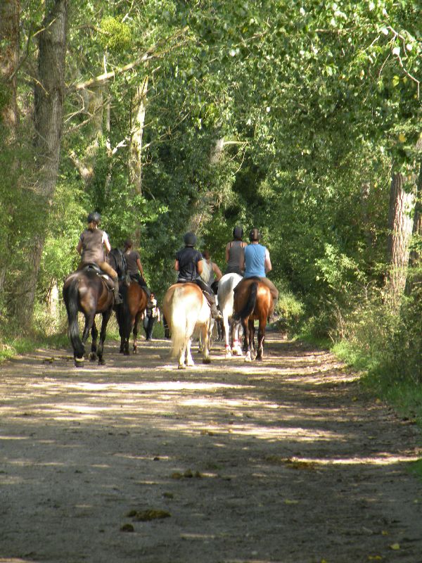 Équi-Oise 2015 à Coye-la-forêt