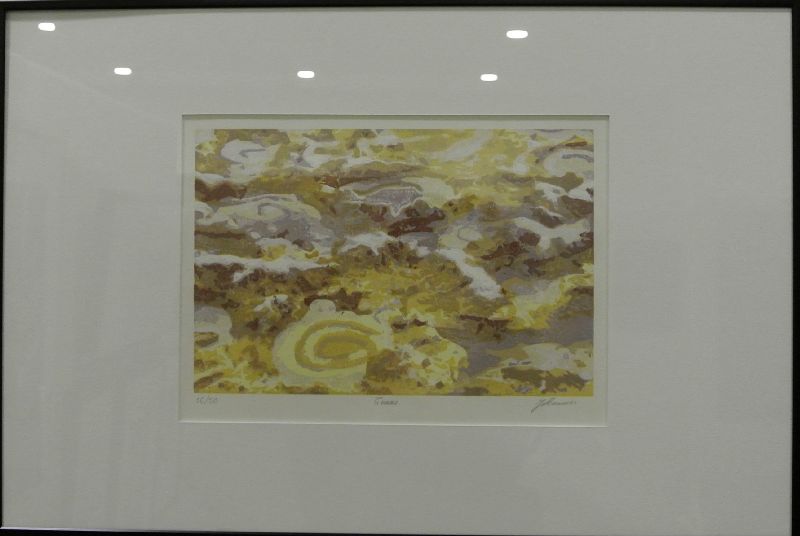 51e Salon des Beaux-Arts