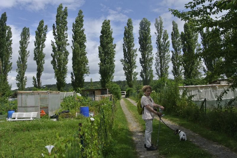 Visite des jardins familiaux