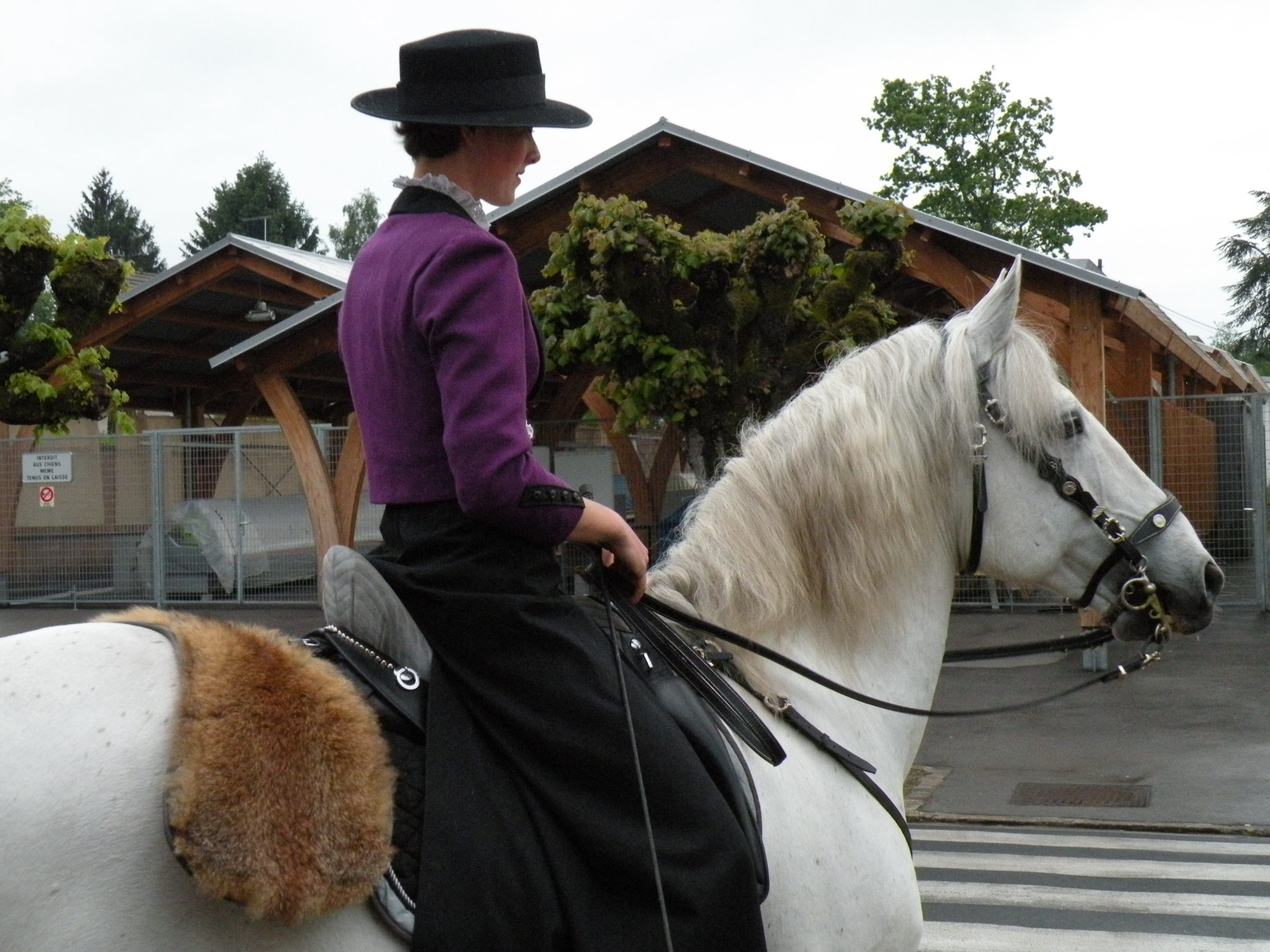 CYRANO  D'après Edmond Rostand