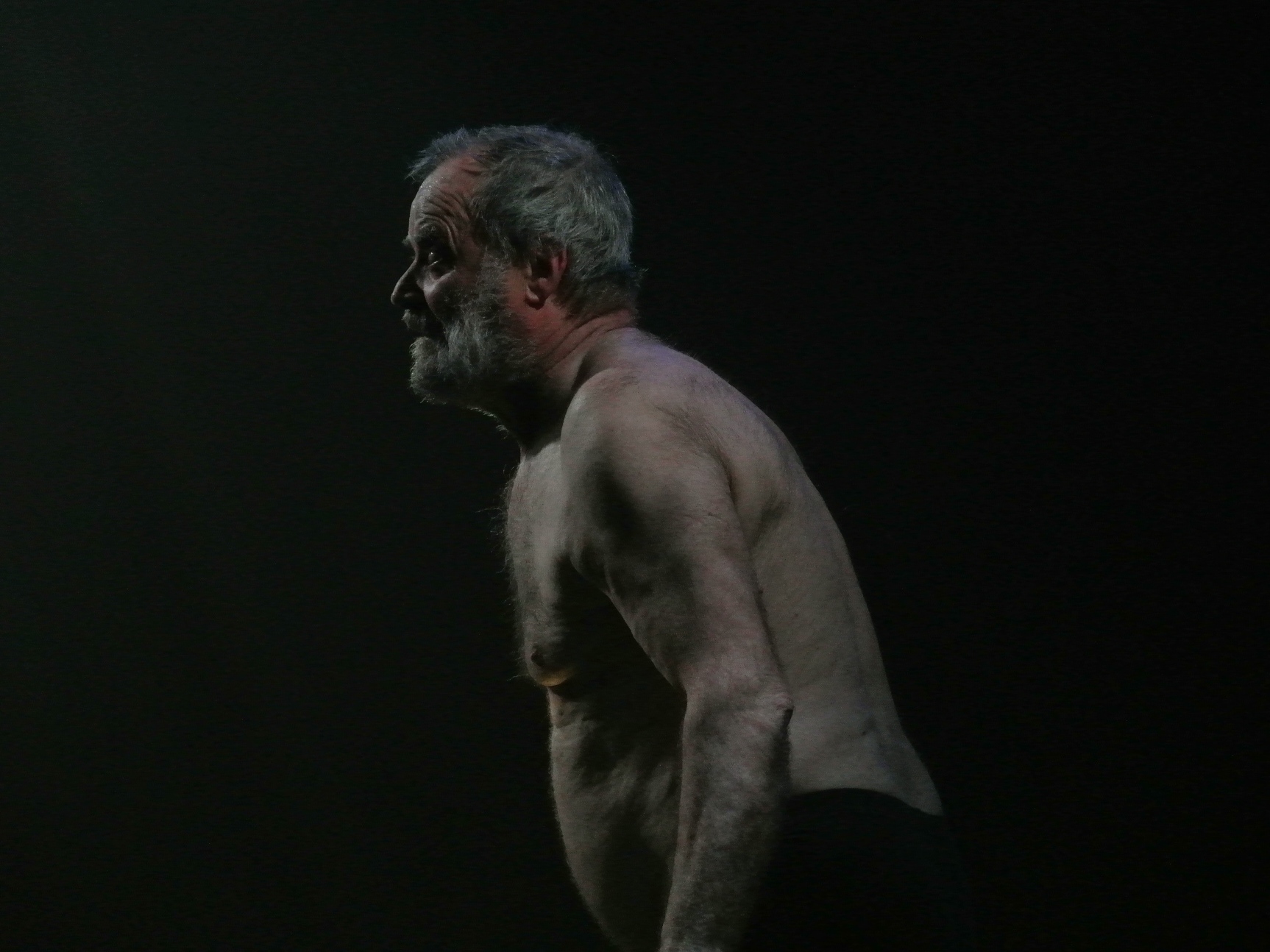 LEAR ET SON FOU  D'André Benedetto