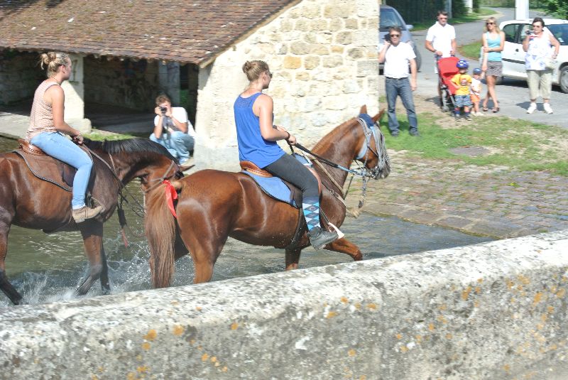 Équi-Oise 2015 à Coye-la-forêt