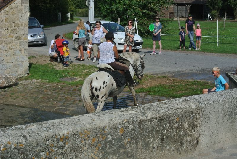 Équi-Oise 2015 à Coye-la-forêt