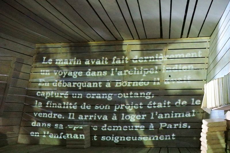 MARGINALIA D’après Edgar Allan Poe