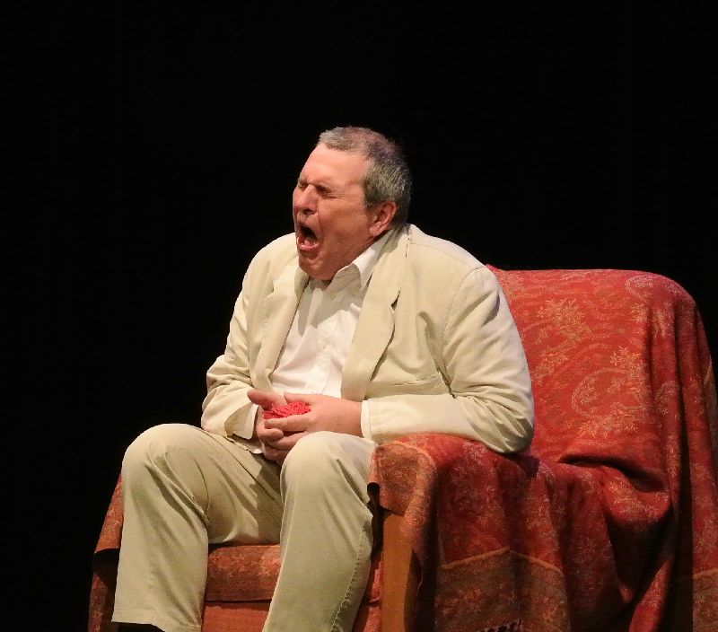 LA VOYANTE De Jacques Bona - Présentation du Festival