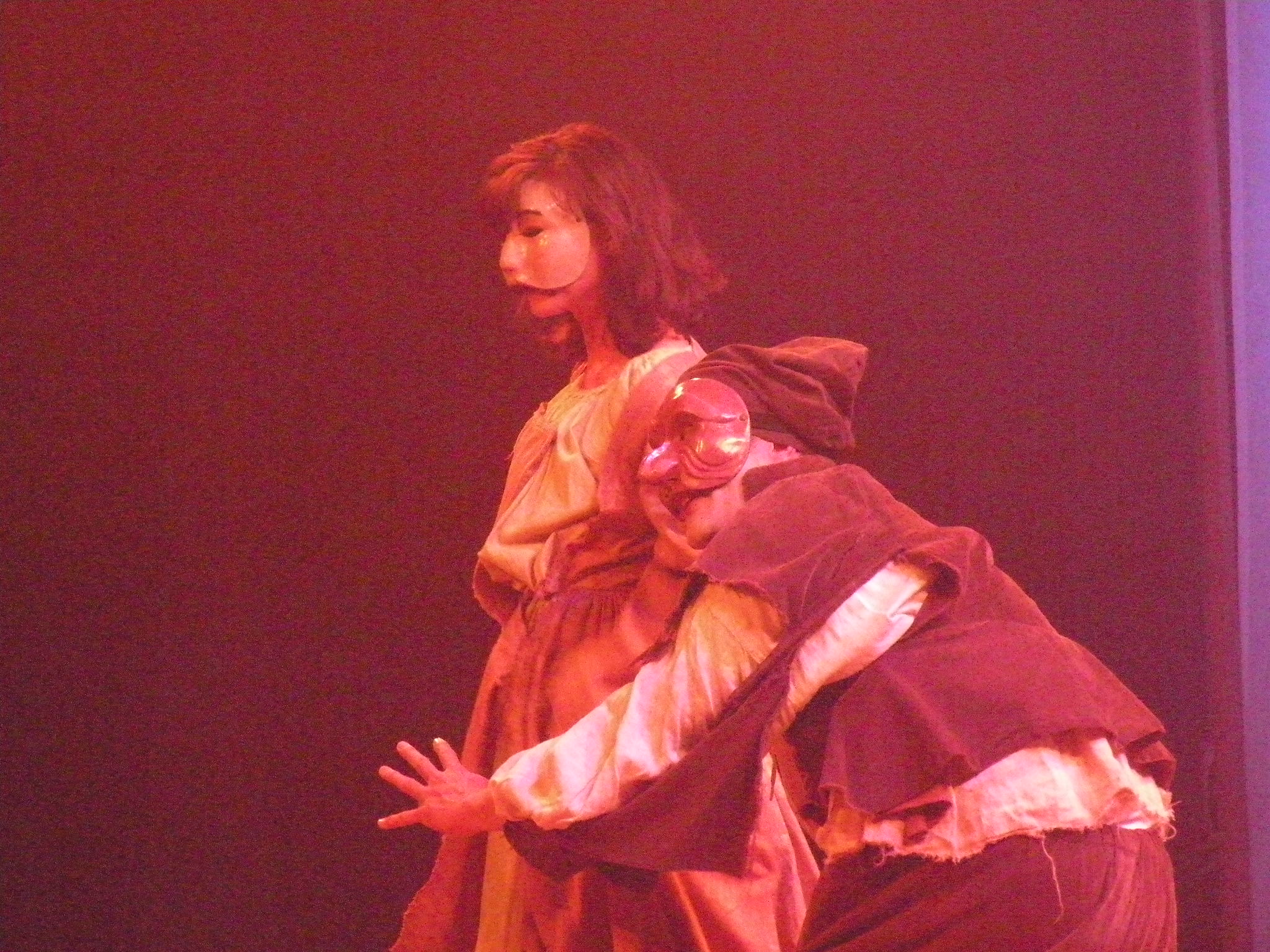 LA NUIT DES ROIS  D'après William Shakespeare