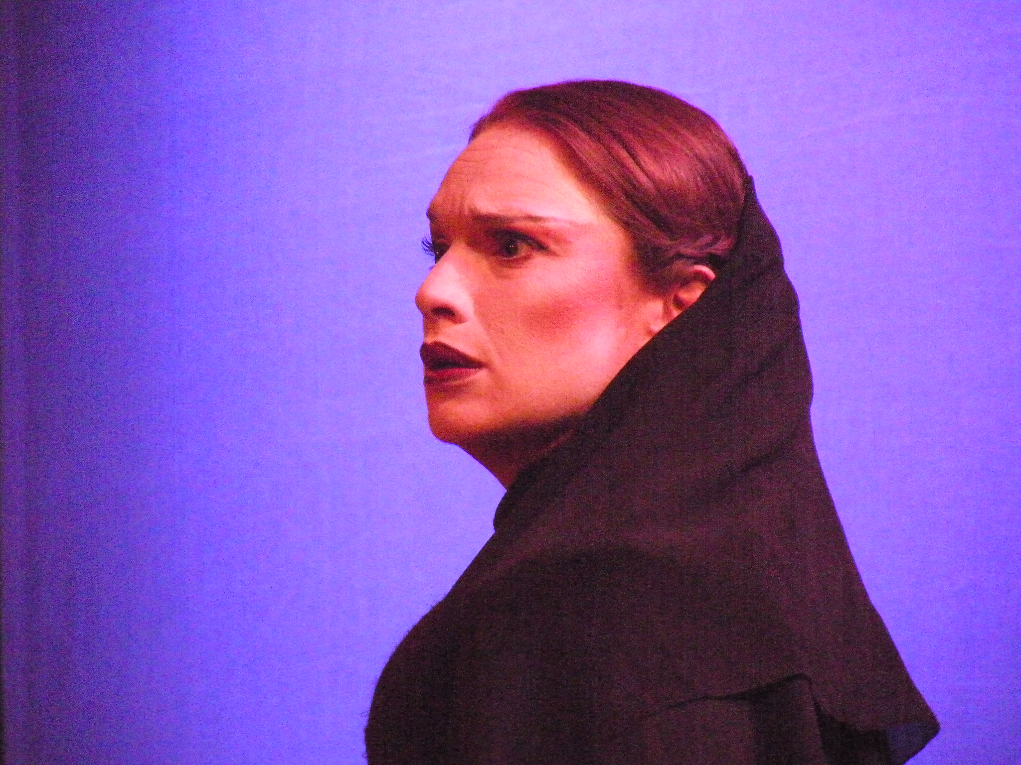 LA NUIT DES ROIS  D'après William Shakespeare